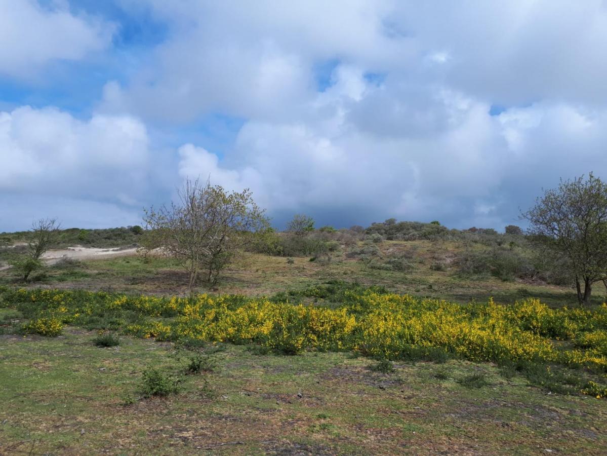Vakantiehuis La Petite Redousse เรอเนสเซอ ภายนอก รูปภาพ