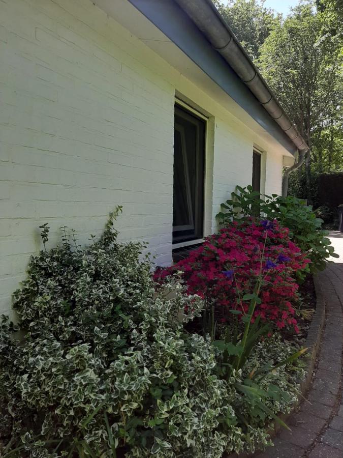 Vakantiehuis La Petite Redousse เรอเนสเซอ ภายนอก รูปภาพ